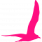 gull-bird-flying-shape gull-bird-flying-shape